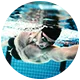 海星体育直播